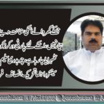 ch saleem borra, senior, lader, PTI, France, Pakistani, people, reaction, on ,Khawaja Asif ,statement, in, parliament