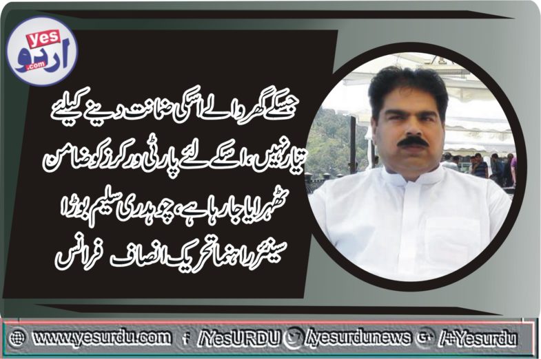 ch saleem borra, senior, lader, PTI, France, Pakistani, people, reaction, on ,Khawaja Asif ,statement, in, parliament