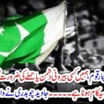 we, Pakistanis, a, sick, nation, we, don't, need, any, external, enemy, we, have, inside, although, javed chaudhry, columns