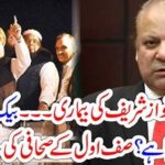 Nawaz Shareif, disease,and, dharna, back, stage, story, Famous, columnist, revealed,the, truth