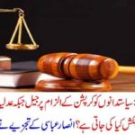 corruption, of, politicians, convict, them, to, jail, but, for, others, its, not, ansar abbasi, columns
