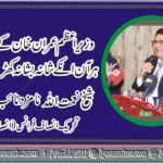 sheikh naimatullah, nominated, as, vice president, PTI, France