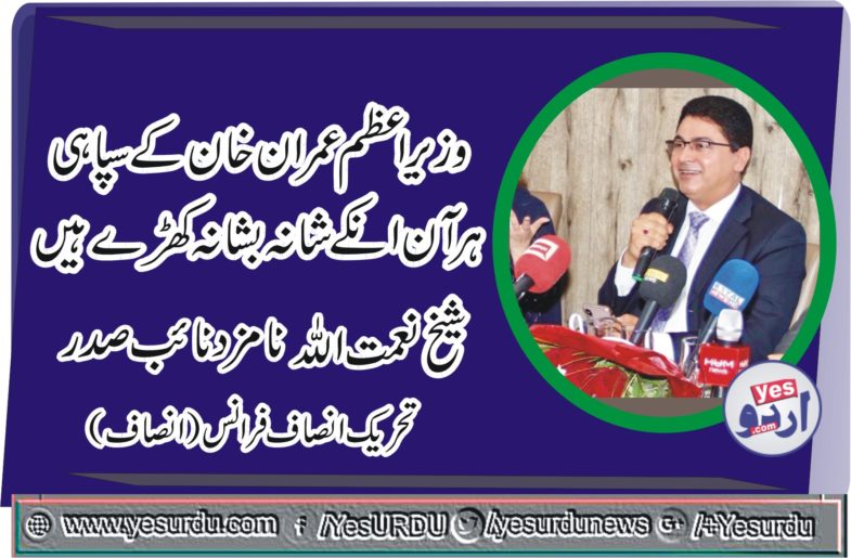 sheikh naimatullah, nominated, as, vice president, PTI, France