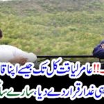 amir liaquat, standup, against, his, leader, calls, him, a, traitor
