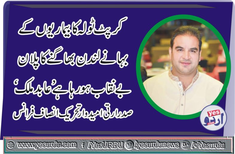 Abid Malik, nominated, President, PTI, France