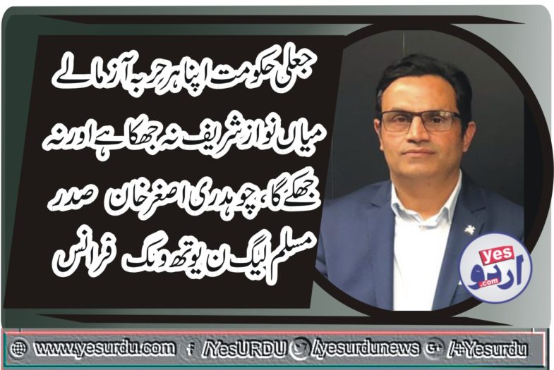 ch Muhammad Asghar Khan, President, PMLN, France, says, MNS, will, not, surrender