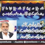 QARI FAROOQ AHMED GORSI, MEMBER, PPP, PUNJAB, COUNCIL