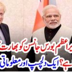 PM, JHONSON, ONCE, CLAIMED, TO, BE, SON, IN, LAW, TO, INDIA