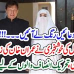 mother, of, imran khan, got, accepted, before, Allah, and, he, got, famous, and, all, the, things, in, Life