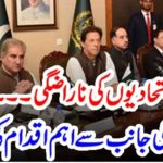 ALLIES, ANGER, PRIME MINISTER, ANNOUNCED, BIGGER, THING