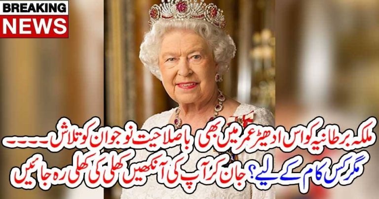 Queen, of, Britain, needs, young, energetic, social, media, manager,for, their, social media, cell