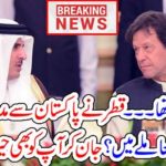QATARM, SEEKS, PAKISTAN'S, HELP, FOR, HIS, MATTERS, GREAT, NEWS, FOR, PAKISTANIS