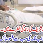 NAWAZ SHARIEF, LIFE, IN, DANGER, NOW, MOST, SORROWFUL, NEWS, TILL, YET