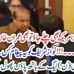 strong, message, to, Nawaz shareif, if, you, would, go, to, USA, Imran Khan, will, not, spare, you, for, anything