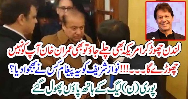 strong, message, to, Nawaz shareif, if, you, would, go, to, USA, Imran Khan, will, not, spare, you, for, anything