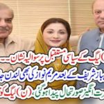 biggest, question, mark, on, the, future, of, Pakistan, mulsim, league, Maryam nawaz, goint, to, London, after, her, father