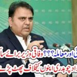 Fawad Chaudhry, Minister, for, Science, and, Technology, blasted, against, their, own, Government, latest, statement