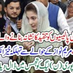 Hamid Mir, column, criticized, Maryam Nawaz, and, her, politics, destroyed, almost, her, politics