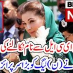 ejection, of, maryam nawaz, name, from, ECL, Government, given, surprise, to, Pakistan, Muslim, League