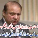 relief, for, sharief, brothers, from, court