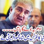 Shah mehmood qureishi, refused, to, talk, at, summit, in, heart of, Asia, Conferece, when, Indina, FM, was, addressing