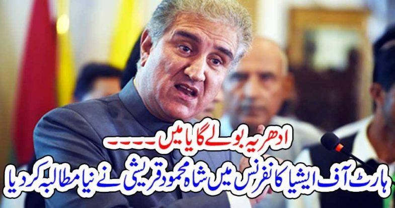 Shah mehmood qureishi, refused, to, talk, at, summit, in, heart of, Asia, Conferece, when, Indina, FM, was, addressing