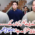 what, was, the, real, platelet, story, shehzad akbar, revealed, the, truth