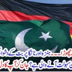 unbelievable, service, will, be, available, in, gilgit, baltistan, arranged, by, Germany, calims, hammad azhar