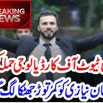 Imran Khan's, nephew, nominated, in, case, of, PIC, Attack