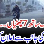 seven, holidays, at, a, time, Punjab, Government, announced, winter, holidays, for, children