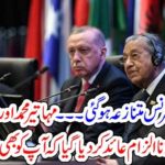 KUALALAMPUR, SUMMIT, GOT, CONTROVERCIAL, ALLEGATIONS, ON, TAYYAB ERDGON, AND, MAHATEER MUHAMMAD, FROM, OTHER, COUNTRIES