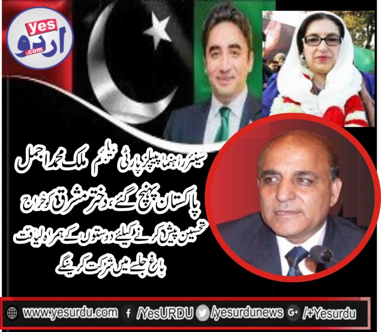 MALIK, MUHAMMAD AJMAL, SENIOR, LEADER, PPP, BELGIUM