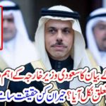 SAUDI, FOREIGN, MINISTER, RELATION, WITH, TAYYAB ERDGON, STTEMENT, BREAKING