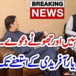 LAME, EXCUSES, AND, LIES, BY, SHEHRYAR AFRIDI, MINISTER, NORCOTICS, RESIGNATION, CAN, BE, SOON