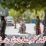 INDIA, COMING, OUT, OF, KASHMIR, DECIDED, TO, BROUGHT, BACK, ARMY, FROM, KASHMIR