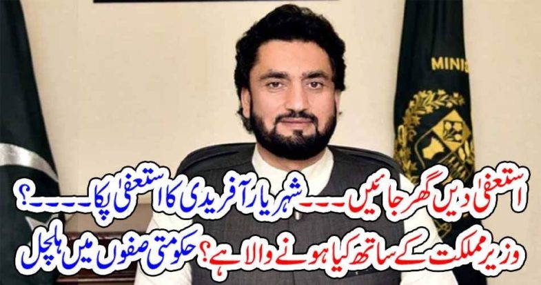 SHEHRIYAR AFRIDI, RESIGN, AND, GO, HOME, WHAT, IS, GOING, TO, BE, HAPPEN, NEXT, WITH, SHEHRYAR AFRIDI, MINISTER, SAFRON