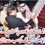 PRINCE, MUHAMMAD BIN SALMAN, VISIT, TO, PAKISTAN, BUT, WHAT, IS, THE, BASIC, REASON, BEHIND, HIS, VISIT, NOW