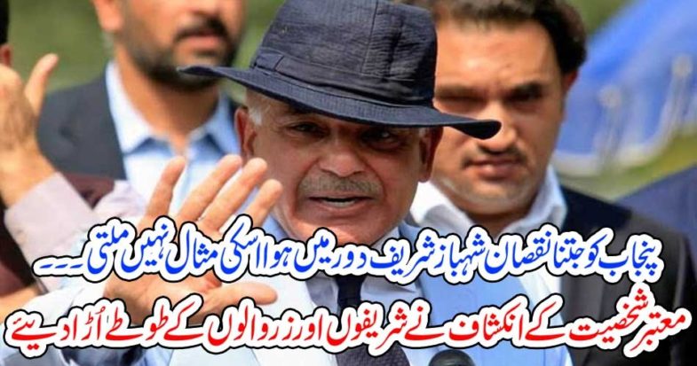 SALMAN SHEHBAZ, SHAREIF, REVEALED, TRUTHS, ABOUT, SHARIEF, FAMILY