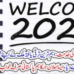 welcome, 2020, european, leader, announced, wonderful, thing, for, their, citizenship, we, Pakistanis, cannot, even, think, of, that