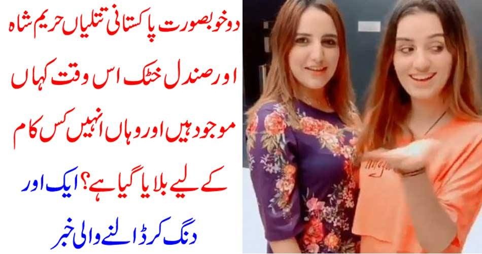 hareem shah, and, sandal khattak, both, beautiful, ladies, are, called, upon, today, for, night, stay