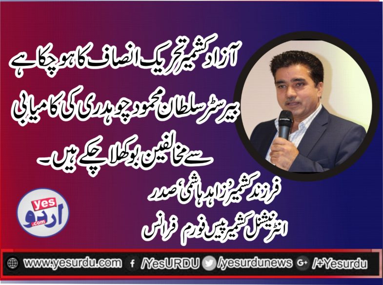 SON, OF, KASHMIR, PRESIDENT, INTERNATIONAL, PEACE, FORUM, FRANCE, SLAMS, ELECTION, COMMISSION, INABILITY, TO, PERFORM, IN, BARRISTER SULTAN, CASE