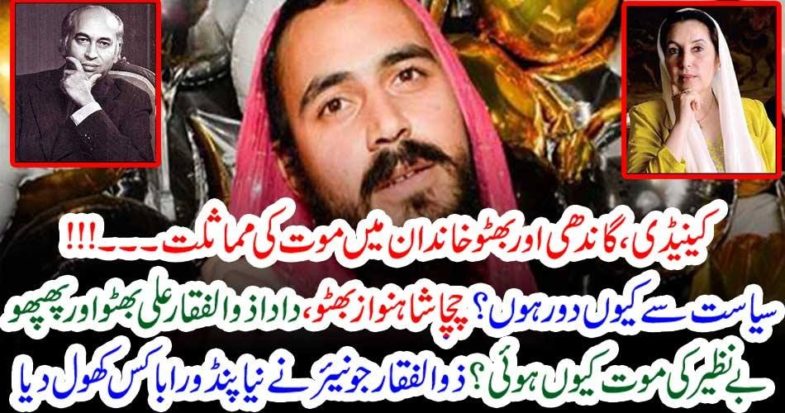 Keneddy, bhutto, and, Gandhi, family, resamblance, by, History