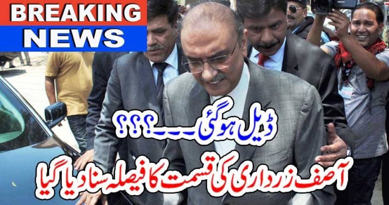 ASIF ZARDARI, GOT, BAIL, FROM, NAB, CASES, BY, ISLAMABAAD, HIGH COURT
