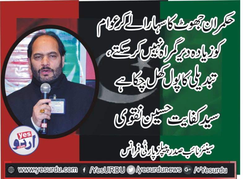 SYED KIFAYAT HUSSAIN NAQVI, SENIOR, VICE, PRESIDENT, PPP, FRANCE