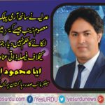 AYAZ MEHMOOD AYAZ, SENIOR, VICE, PRESIDENT, PAKISTAN, PARIS, PRES, CLUB, FRANCE