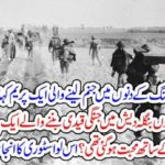 a,love, story, during, 71, war, when, a, pakistani, army, officer, fall, in, love, with, Bengali, girl, and, what, was, its, result