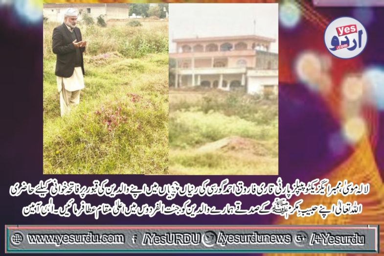 qari farooq ahmed gorsi, member, executive, PPP, Punjab, Council