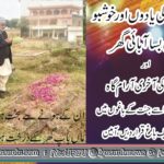 qari farooq ahmed gorsi, member, executive, PPP, Punjab, Council