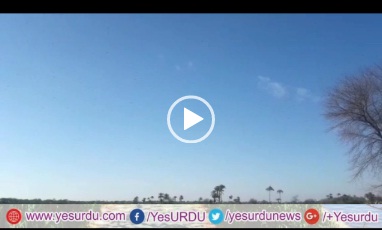 اٹھارہ ہزاری:نواحی علاقے ماچھیوال میں ٹڈی دل کا فصلوں پر حملہ،شہریوں نے ڈھول اٹھالیے