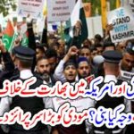 BANGLA DESH, USA, AND, INDIA, PEOPLE, PROTESTING, AGAINST, INDIA, HUGE, PROTESTS, AND, HUMAN, CHAIN